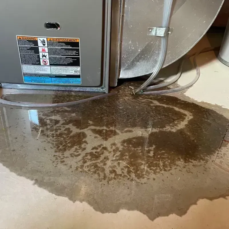 Appliance Leak Cleanup in Oak Hills, CA